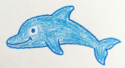 Dolphin