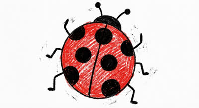Ladybug